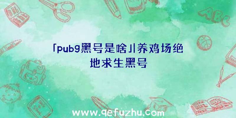 「pubg黑号是啥」|养鸡场绝地求生黑号